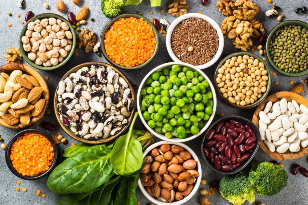 Plant-Based Protein Alternatives